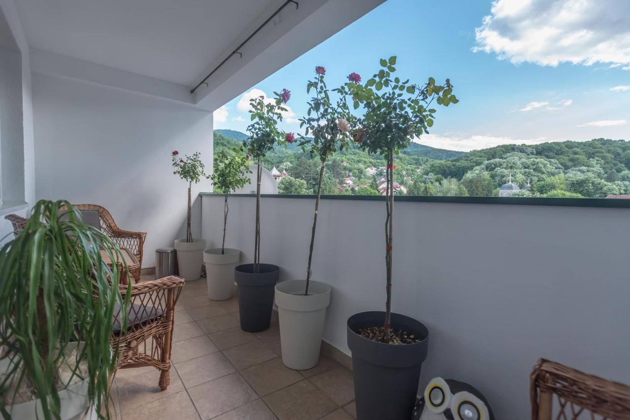 Onore Dell Amore Apartman Sa Djakuzijem Banja Koviljača 外观 照片