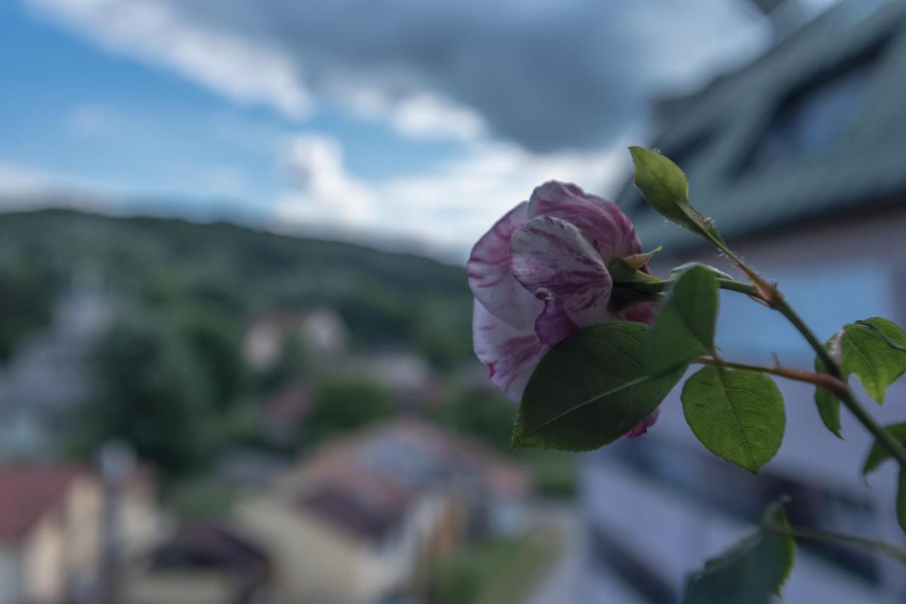 Onore Dell Amore Apartman Sa Djakuzijem Banja Koviljača 外观 照片